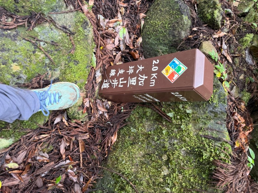 20250607 春谷養鱒場所上加里山 出大坪_2805219