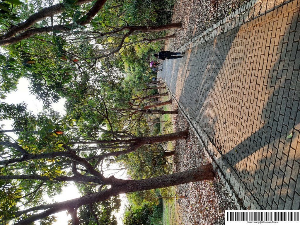 《台中》都會公園步道漫步20201101_1151251