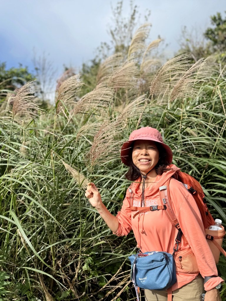 二子坪步道 經遊憩區 上面天山 20251108_2935066