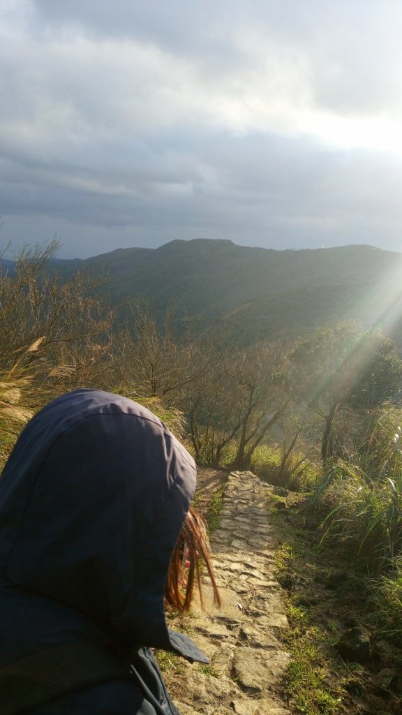 陽明山東西大縱走，下次再把西段走完_1963554