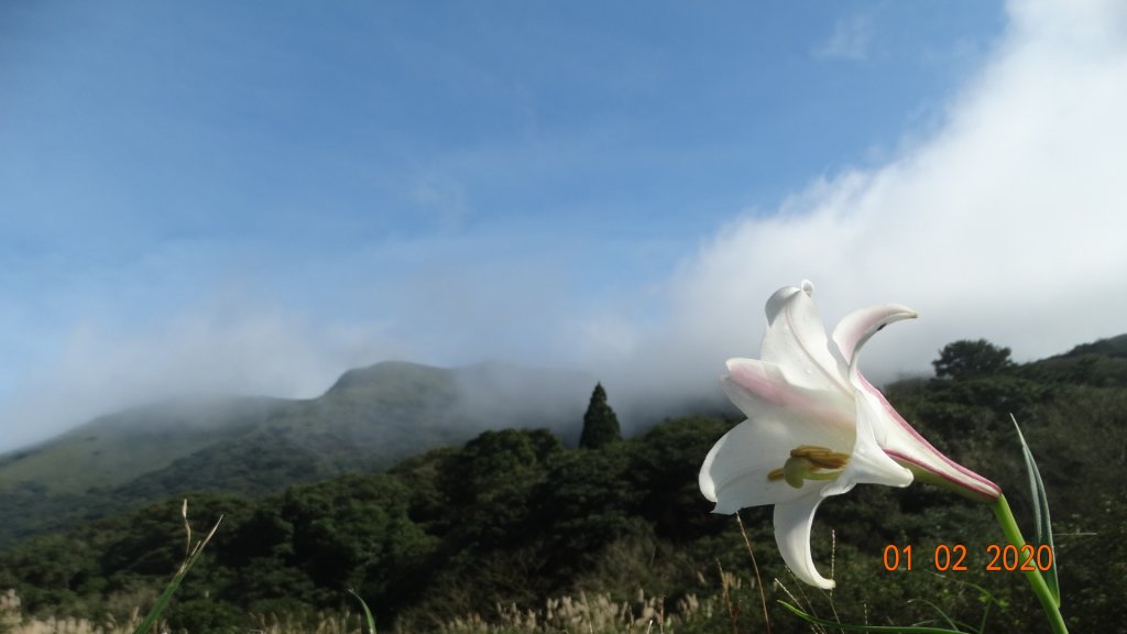 三度觀音圈-大屯主&小觀音山主西峰_795055