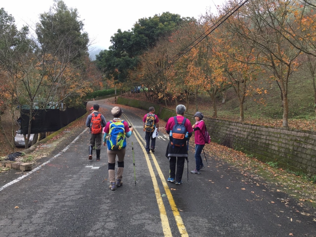 20151226泰安鄉熊佧山_27726