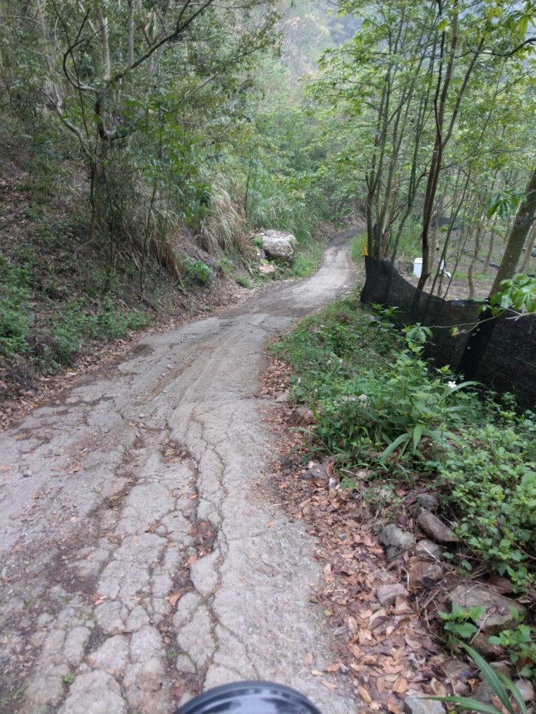 阿冷林道上阿冷山2020/3/22封面圖