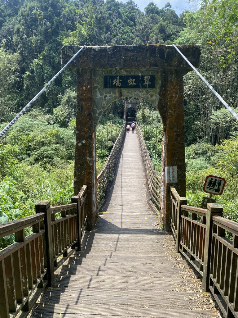 20240420 溪頭自然教育園區_2485348