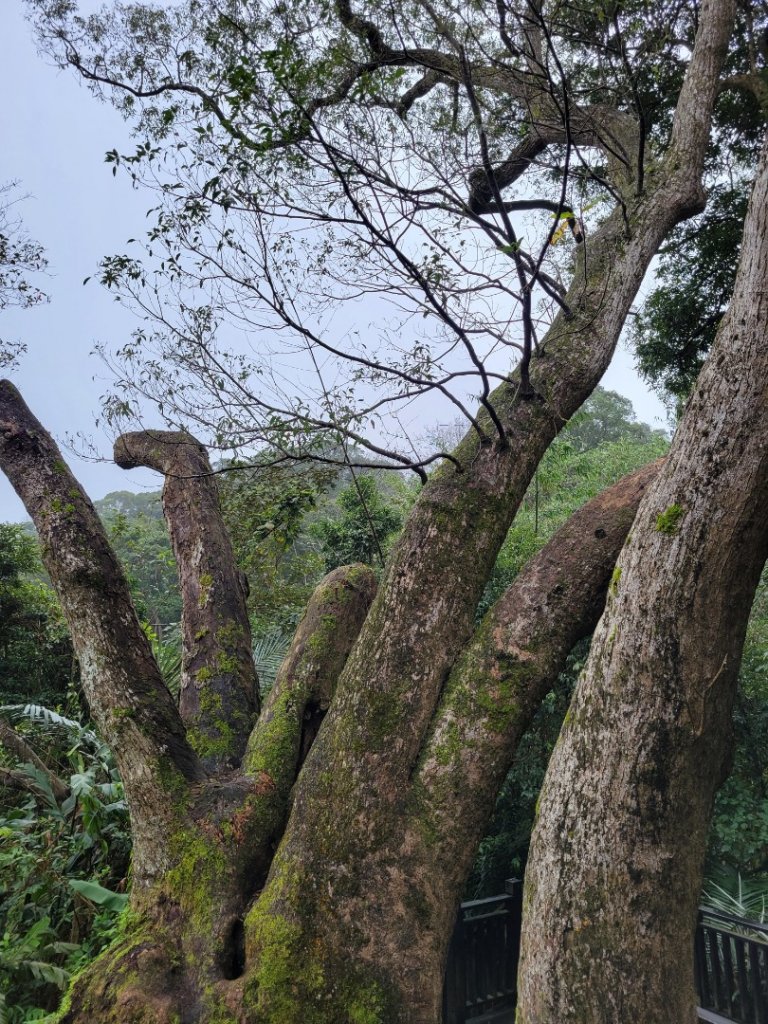 112.02.09 苗栗-獅頭山_2025686