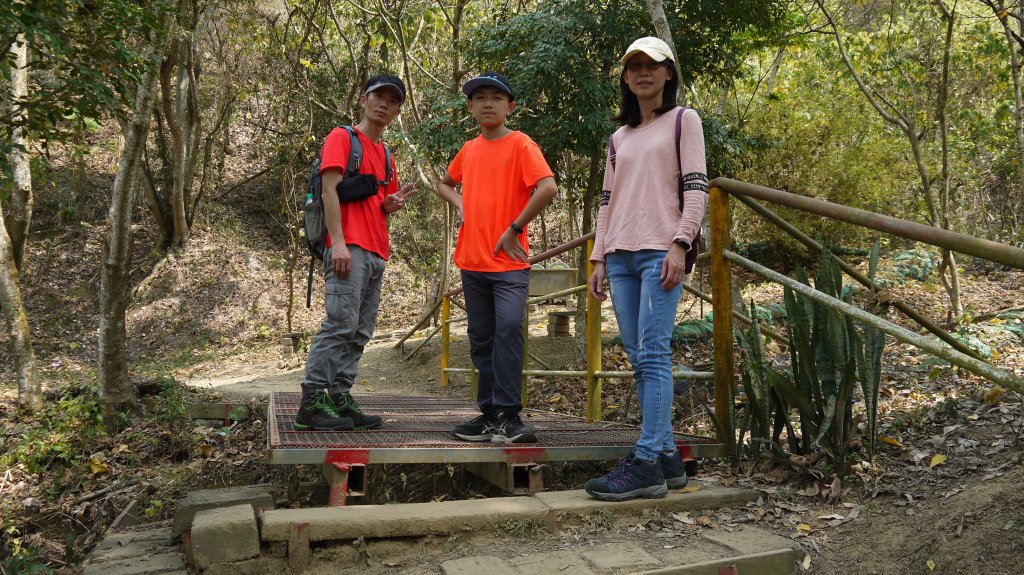 三汀山登山健行趣（小百岳43號）_1512922