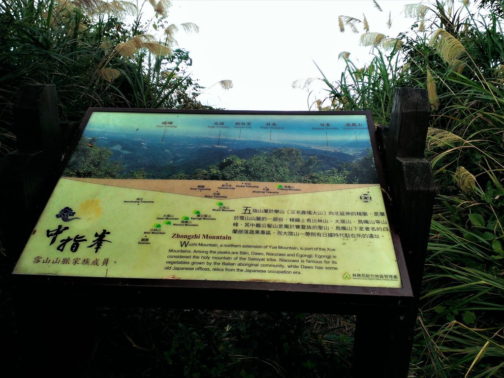 恣意橫貫五指之間_483023
