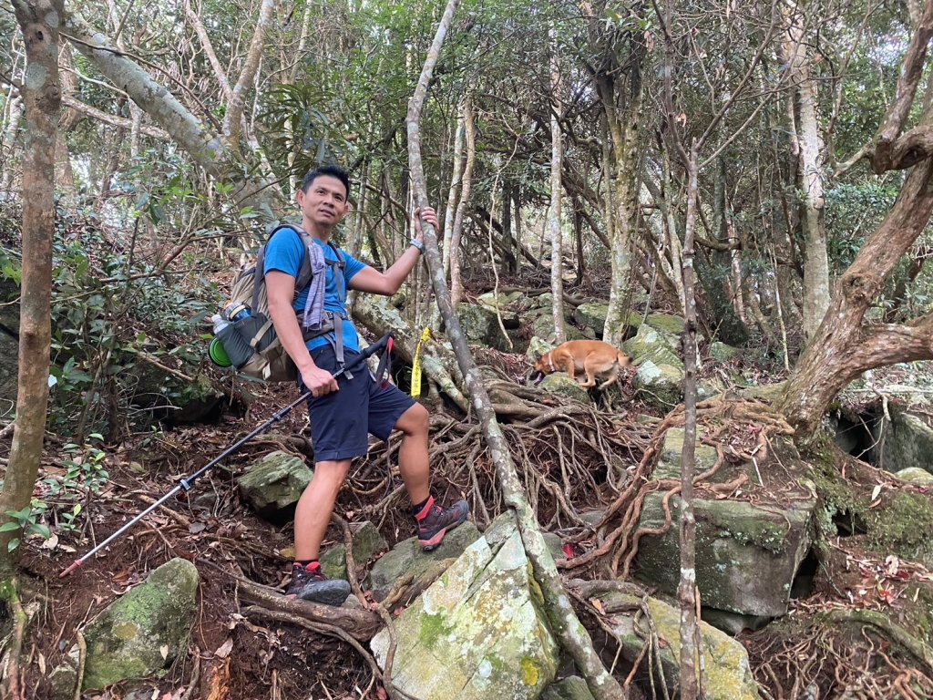 阿冷山【好酒沉甕底的隱藏版魔王】_2649283