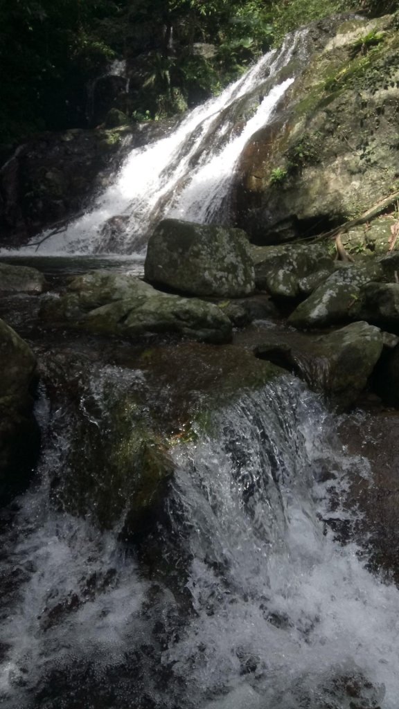 灣坑頭山（小百岳）_466821