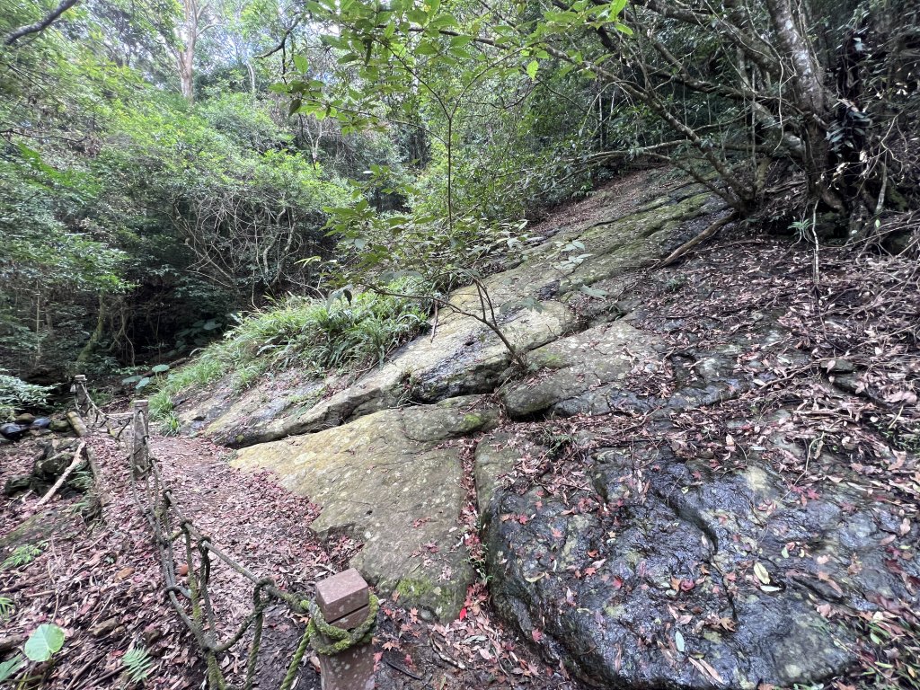2023-08-13 馬那邦山（馬拉邦山）_2251263