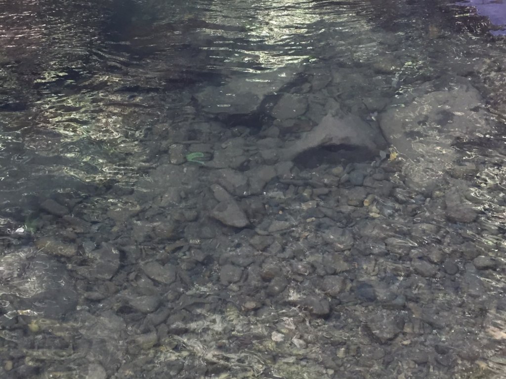 淡蘭古道中路爬坡_1087600