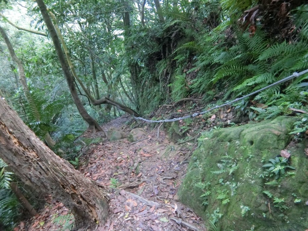 南邦寮山二格山O型_1043786