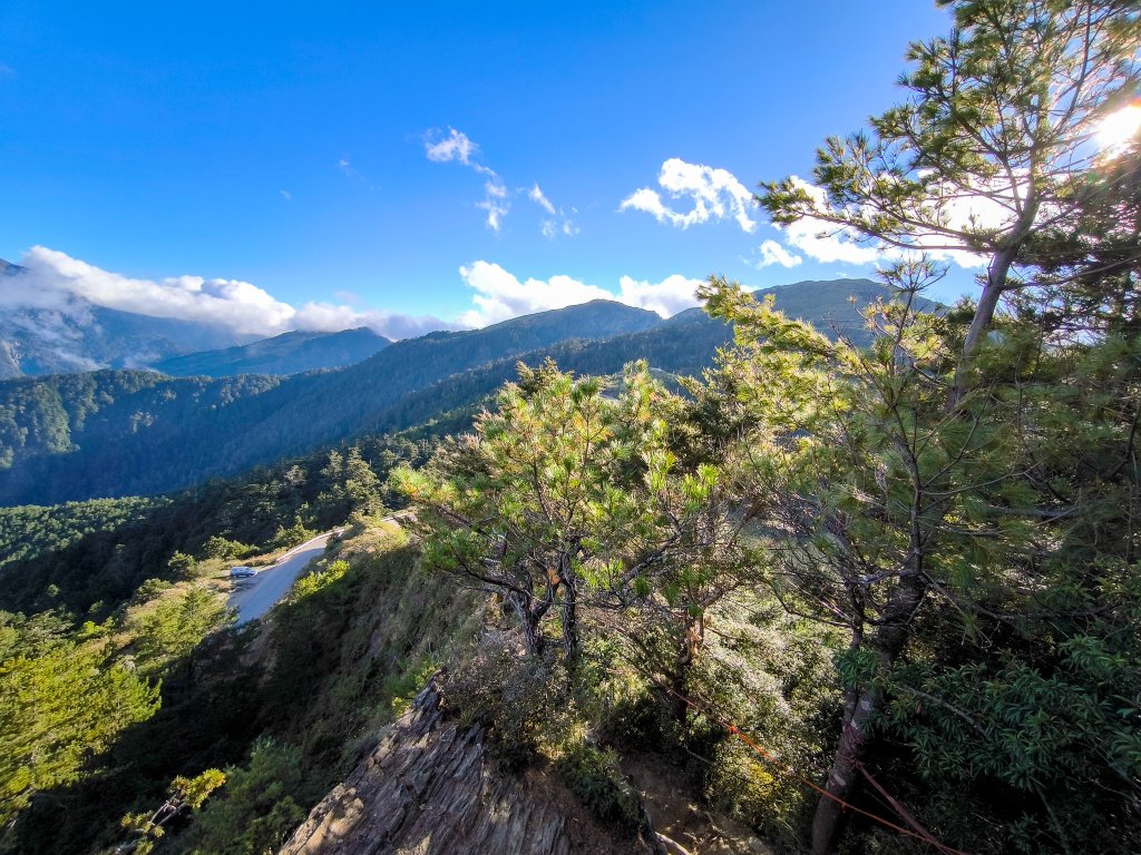2025-11-07 合歡北峰、小溪營地、鷹石尖、北峰名樹_2934437