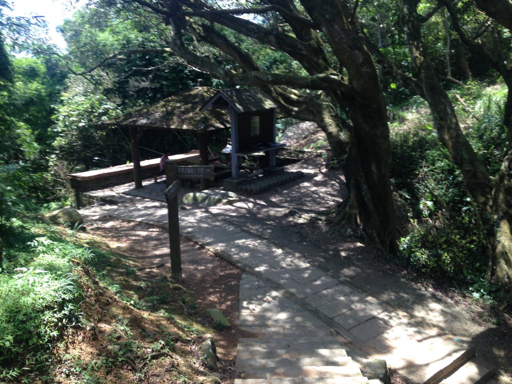 坪頂古圳親山步道_587006