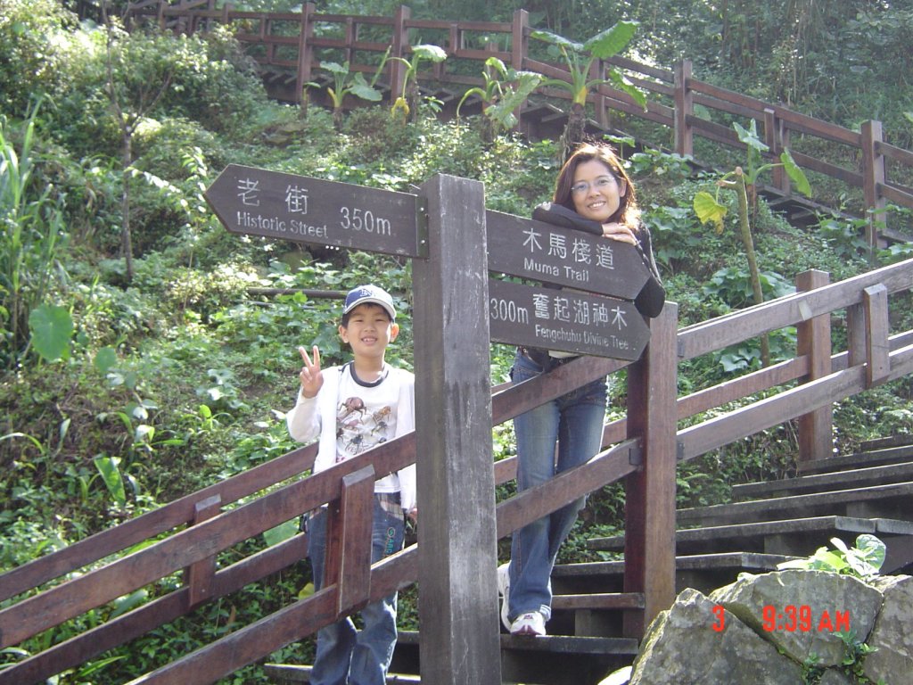 2008 May 奮起湖步道_584792