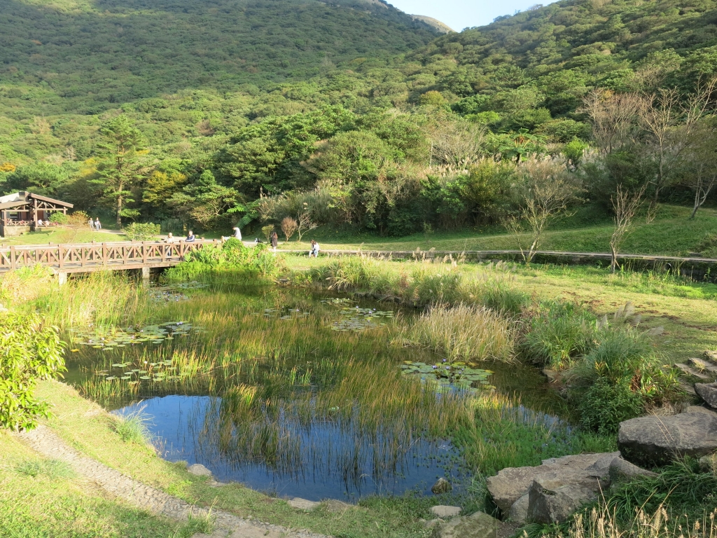 步道小旅行-草山西段五連走_4636