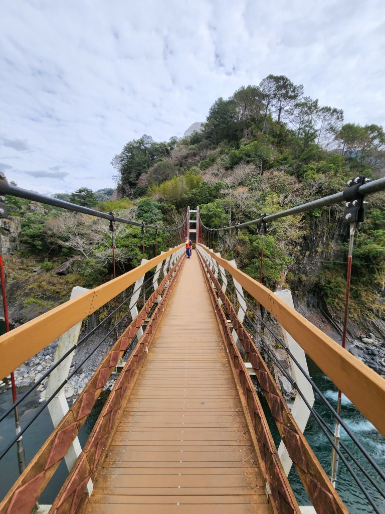112/2/11芝生毛台山、屯野生炮台_2148001