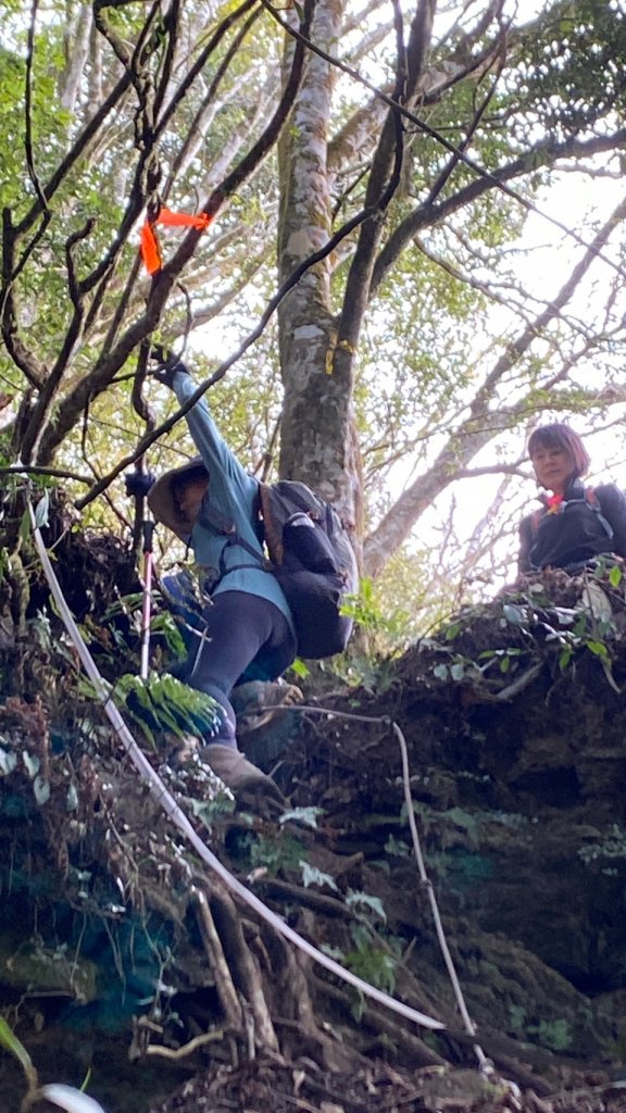 2022年02月13日(彰山協)南投日月潭四兄妹之中級山~大尖山縱走水社大山_1613363