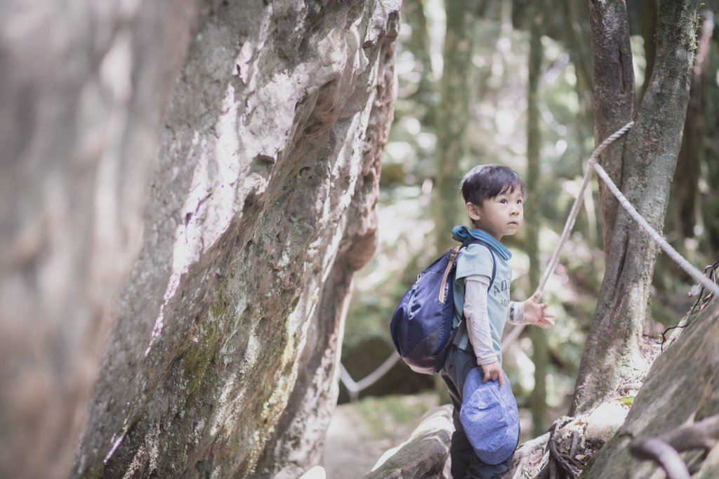 四歲小樂的第十座小百岳-加里山封面圖