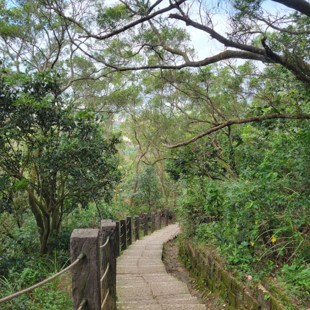 鳳崎落日步道封面圖