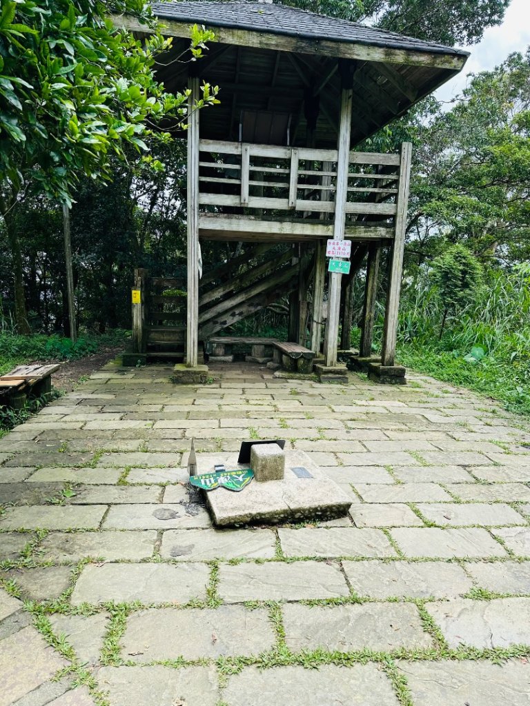 關仔嶺大凍山封面圖