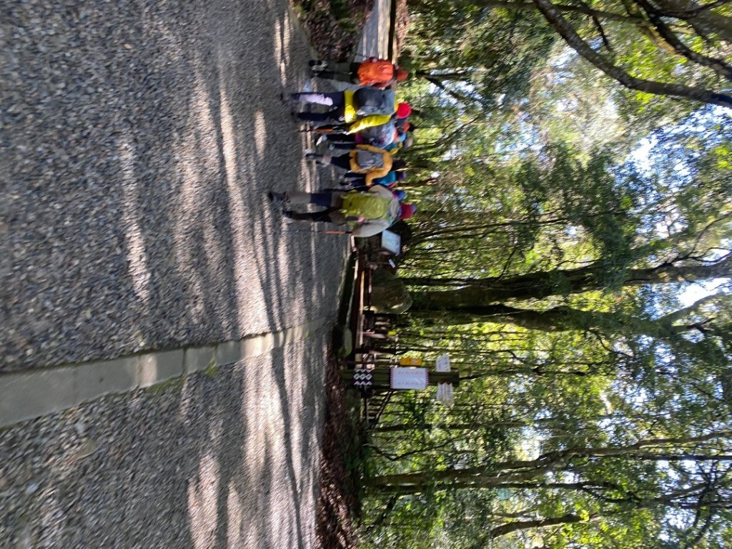 1140209雪見北坑山大板根_2709962