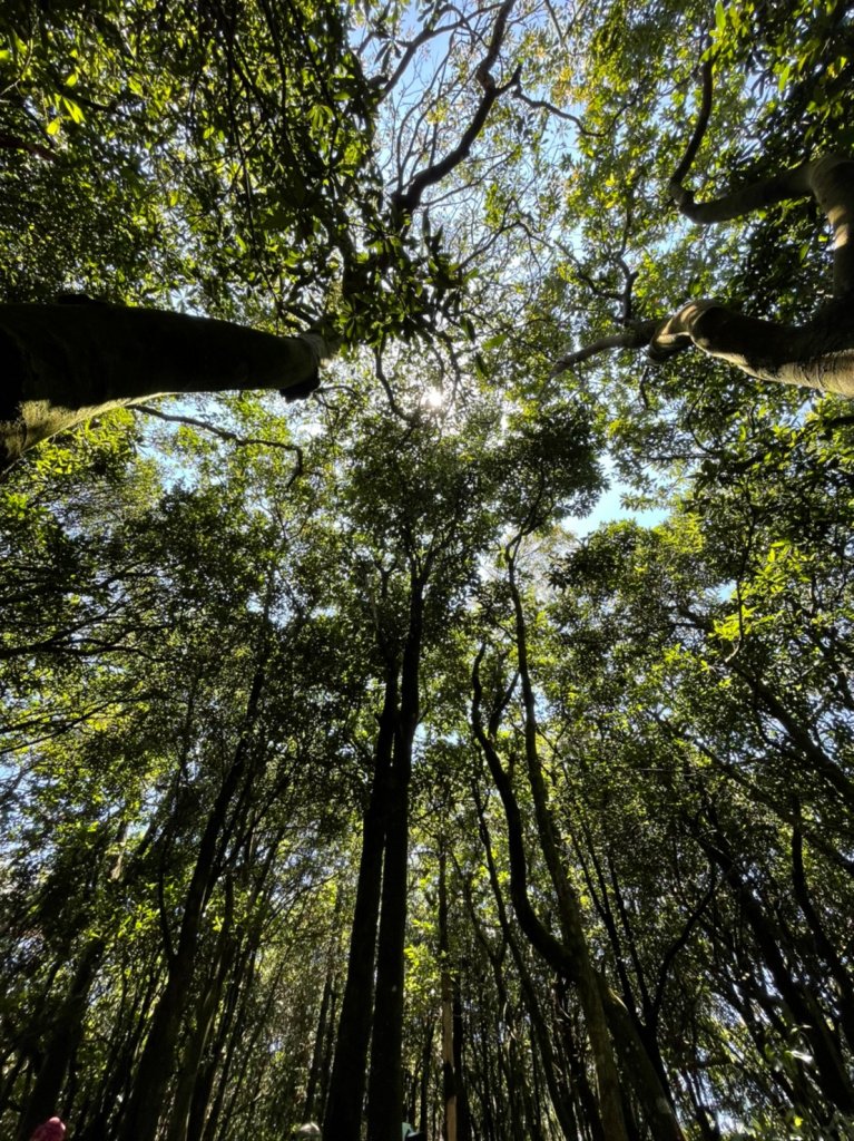 大邱田天然石壁洞_1776249