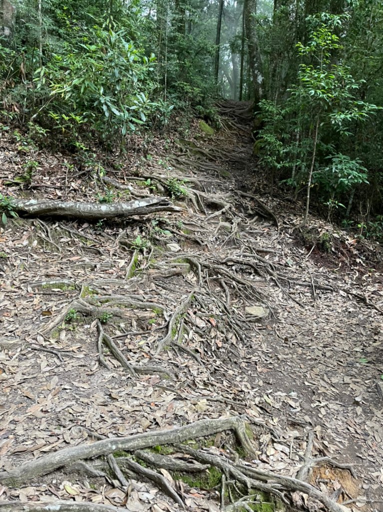 屋我尾山_1776175