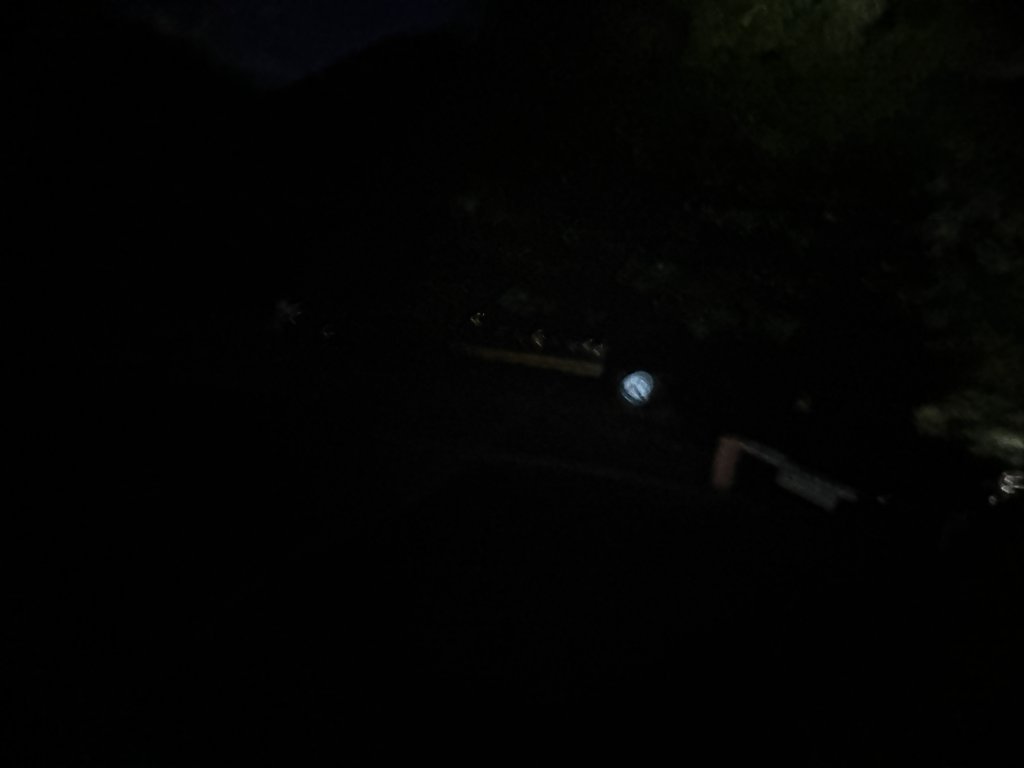 1141108-09桃山單攻_2935958