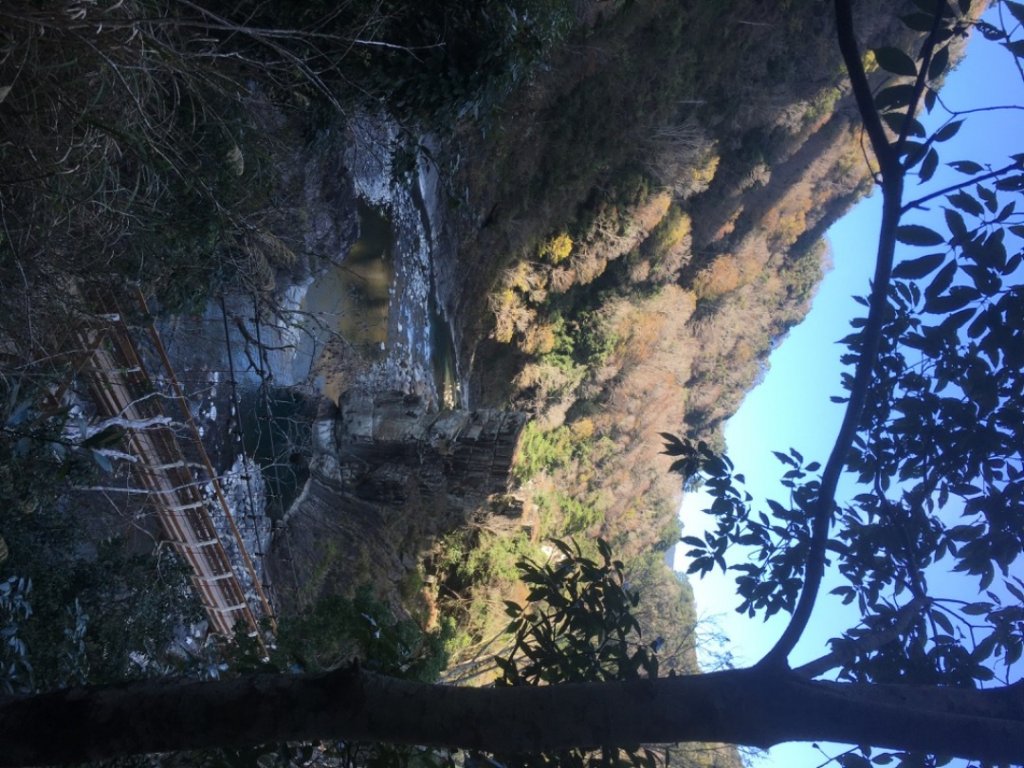 芝生毛台_2036524