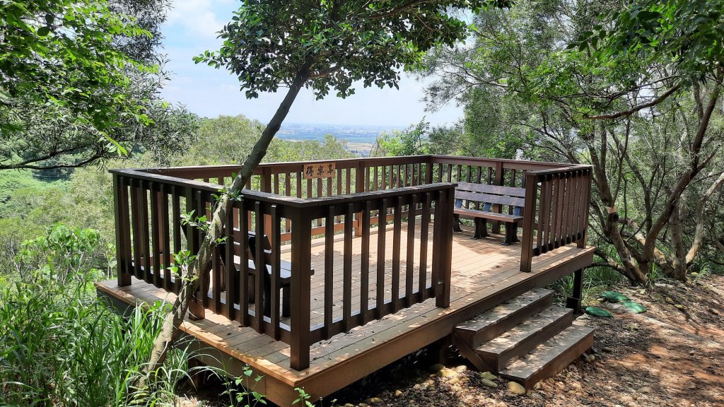 《台中》綠蔭夏蟬｜大肚環保公園登山步道O型20220626_1745209