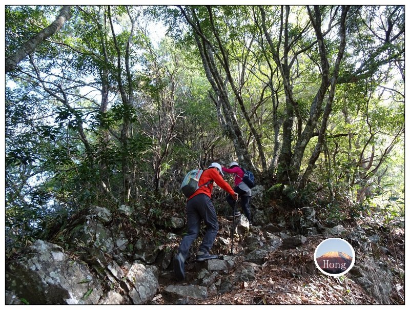 谷關七雄/馬崙山_1031292