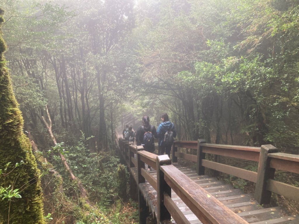 檜山巨木群森林步道_2316105