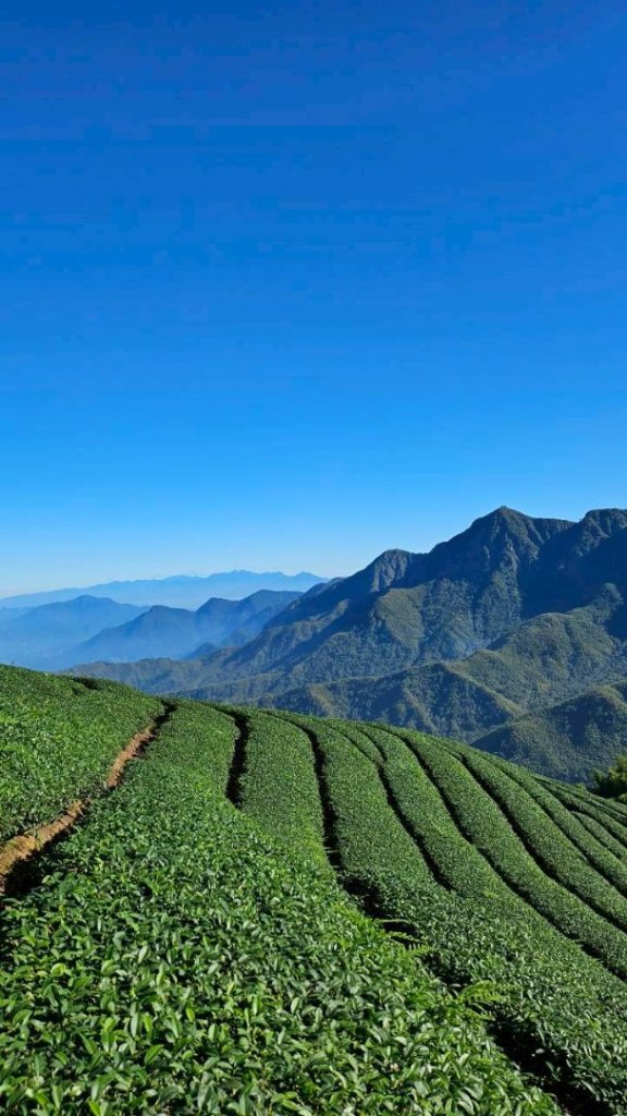 20251117樟空崙步道挑竹古道3號 六連峰O繞封面圖