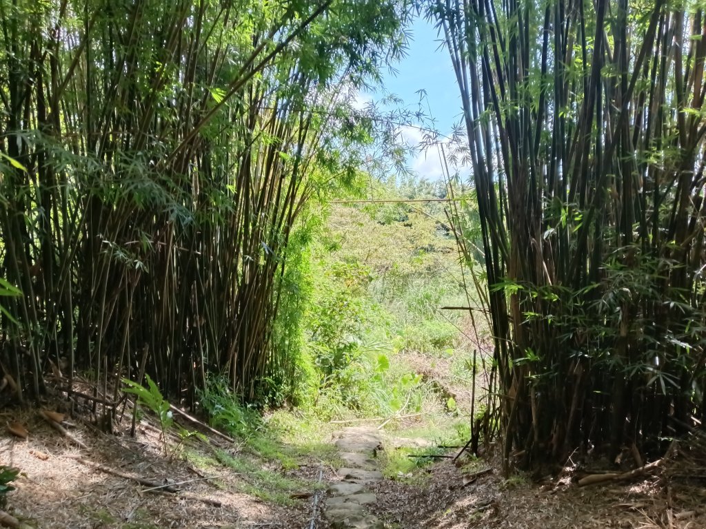 雙溪區雙澳崙+土地公嶺保甲路+青雲古道+遠景古道O型封面圖