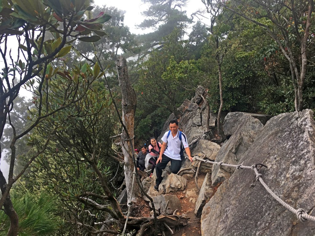 再登鳶嘴山-巧遇同事 2018/11/16_462749