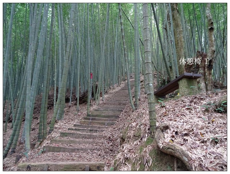 嘉南雲峰、石壁山登山步道_1511920
