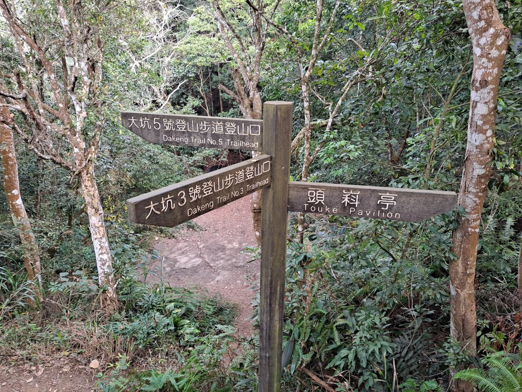 大坑步道(1~5&3-1、5-1)_1994991