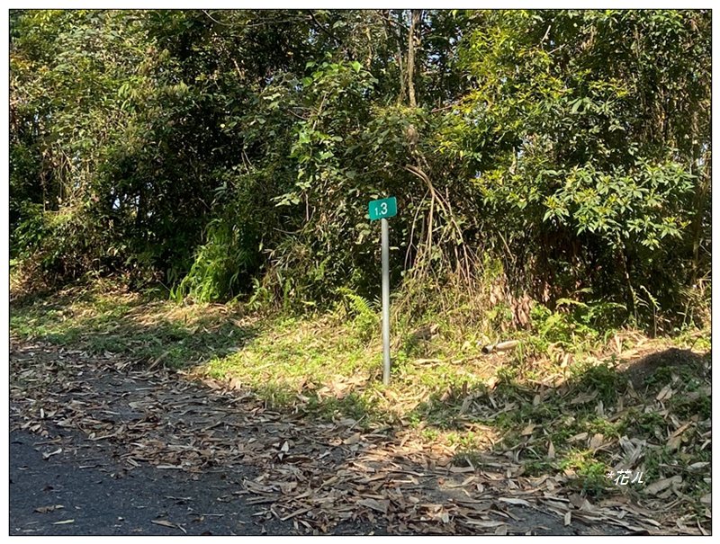 阿里眉山 (日月潭四姝的么妹)_2753049