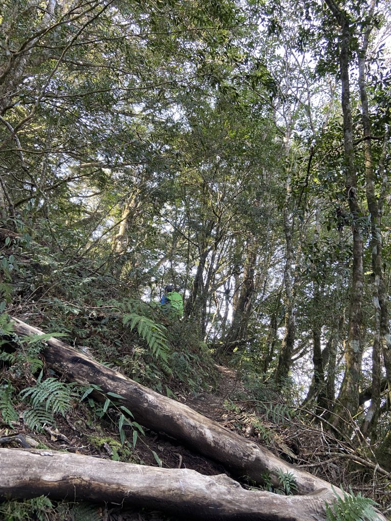 尋訪歷史的軌跡-秀巒軍艦岩登芝生毛台山與虎禮山_1634186