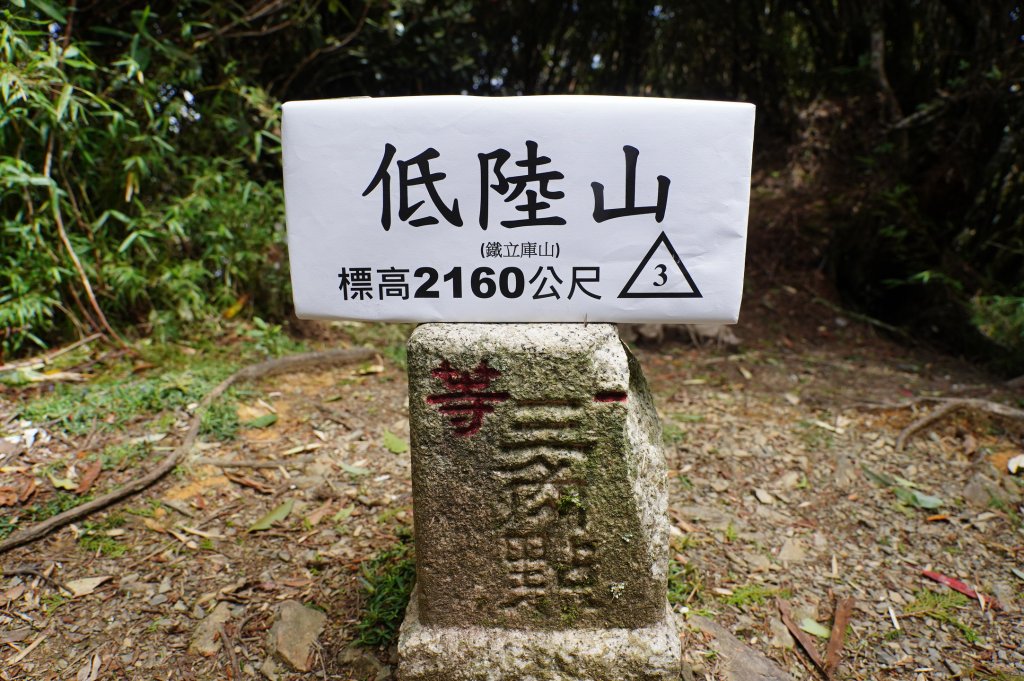 桃園 復興 把家灣山、低陸山封面圖