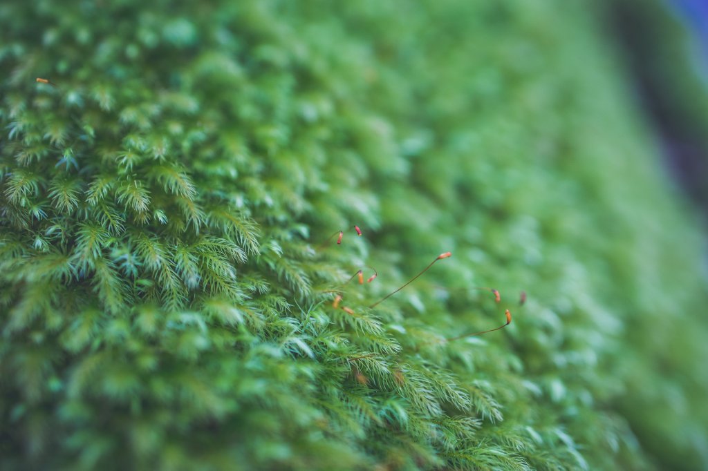 20240216~17-屏風山_2534603