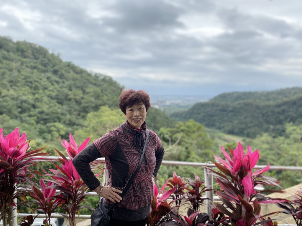 礁溪五峰旗探險趣_818809