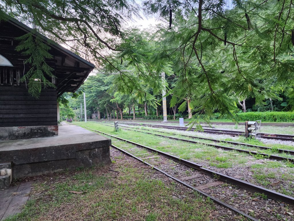 20240721泰安登山步道登七塊山封面圖