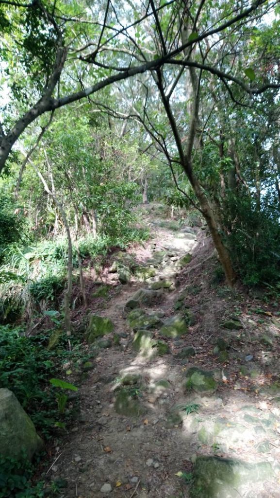 南勢角山（烘爐地土地公廟）_392975