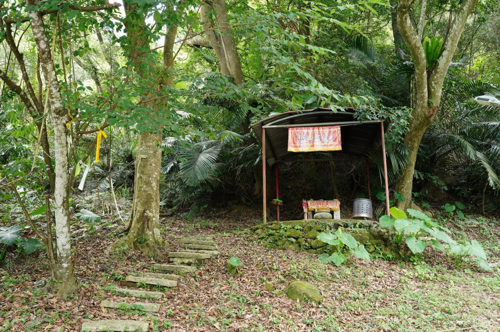 苗栗 南庄 神桌山、大屋坑山、細湖頂山、象山_2533599