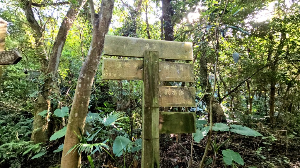 20251215林口森林步道+太平嶺海濱步道_2969360