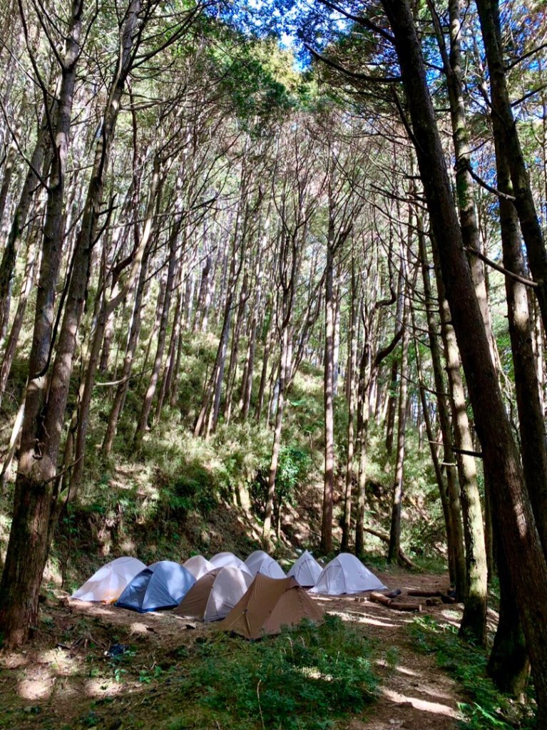 探訪消失的白雪村+北霞山東水兒玉山O型縱走_1991133