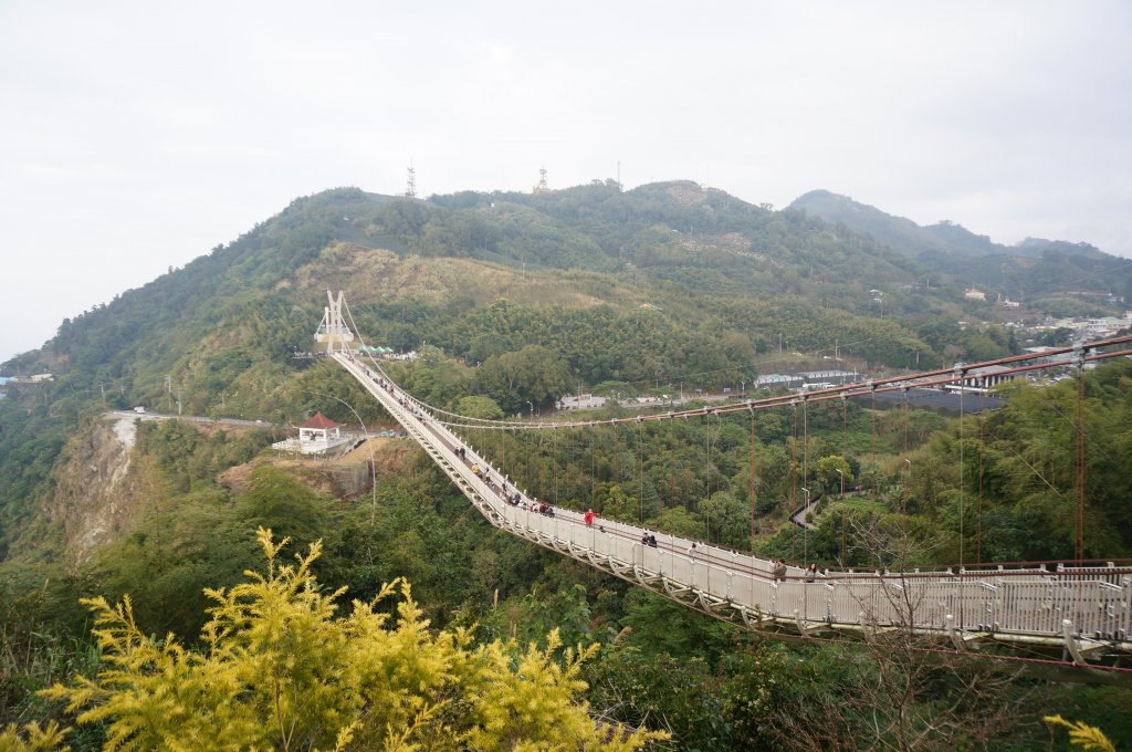 太平雲梯_2013898