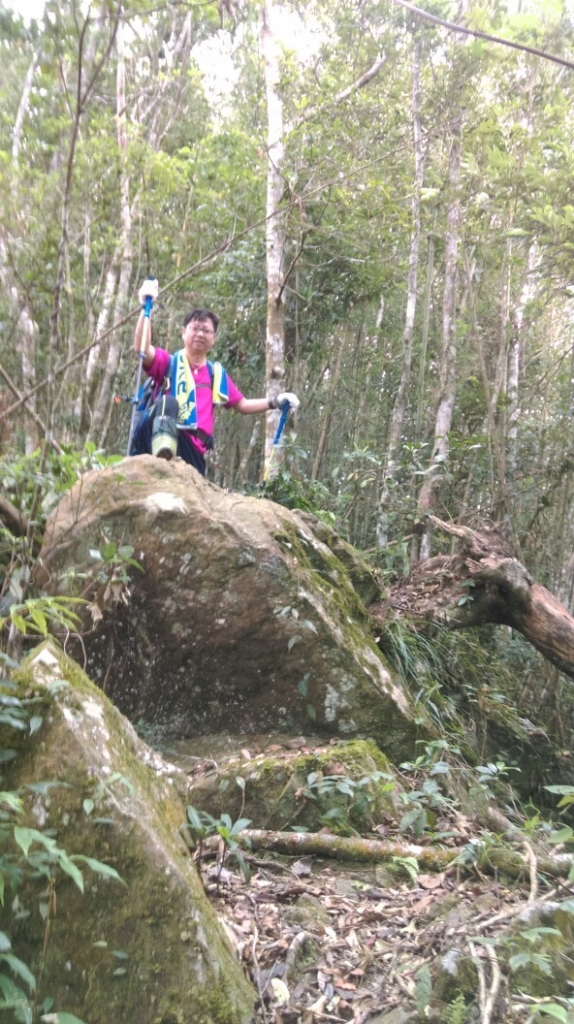 20151101五峰鄉鬼澤山,谷燕瀑布_27822